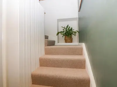 a stairway with a potted plant on the wall at Waterside in Ravenglass