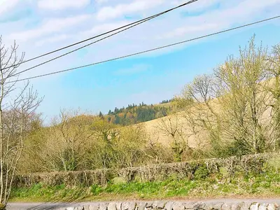 a view of a hill with trees and power lines at Arden Cottage in Twynholm