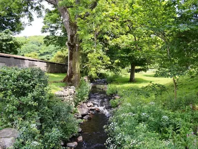 a creek in a field with trees and grass at Shepherds Cottage in Corney
