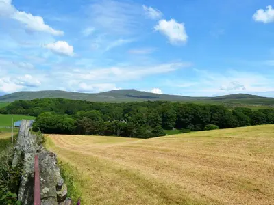 a large field with a stone wall and trees at Shepherds Cottage in Corney
