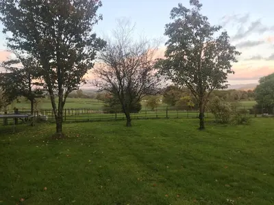 a group of trees in a field with a fence at 1-Bed studio Apartment nr Cockermouth in Cockermouth