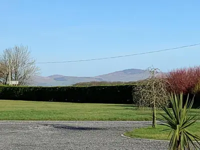 a tree sitting on the side of a road at Holiday Caravan - Sleeps 4 with Parking in Whithorn
