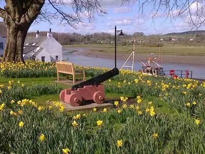 a cannon sitting next to a bench in a field of flowers at The Fish House in Kirkcudbright