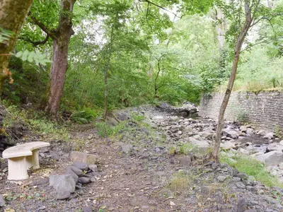 a bench sitting in the middle of a forest at The Mill in Mungrisdale