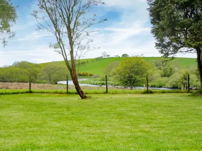 a grassy field with a tree in the middle at The Smithy - Uk38001 in Kirkcowan