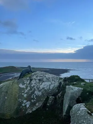 a bird sitting on a rock near the ocean at Beautiful 2-Bed Static caravan in Newton Stewart