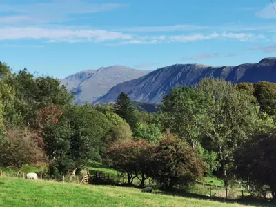 a field with trees and mountains in the background at Rainors farm B&B in Gosforth