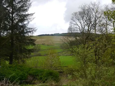 a view of a field with trees and grass at Old Coach House in Moniaive