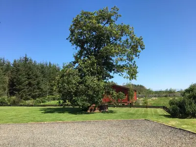 a tree in the middle of a field with a house at Gamepark Wood Holiday Cottage in Castle Douglas