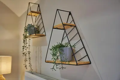 two shelves with potted plants on a wall at Riverside Park 5 in Keswick