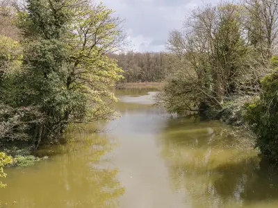 a river with trees on the side of it at 2 Fleet Street in Castle Douglas