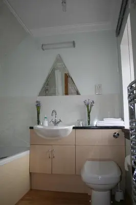 a bathroom with a sink and a toilet at Corehouse Farm Cottages - Dairy, Granary & Sawmill in Lanark