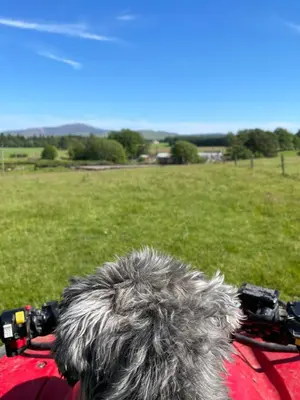 a person with grey hair sitting on a blanket in a field at Corehouse Farm Cottages - Dairy, Granary & Sawmill in Lanark