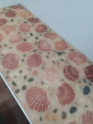 a box filled with shells on top of a table at Voyage Hostel - Ensuite Family Rooms with shared kitchen in Douglas