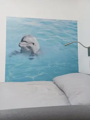 a dolphin swimming in the water next to a bed at Voyage Hostel - Rooms with Shared Kitchen in Douglas