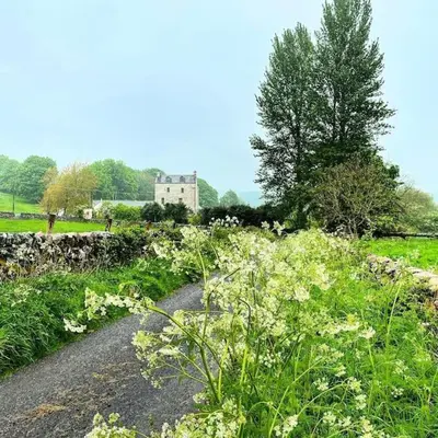 a field of flowers with a building in the background at Buittle Castle Exclusive Use- Stay in your own Castle! in Castle Douglas