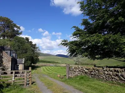 a dirt road next to a stone wall and a tree at Beautiful Traditional secluded country cottage in Sanquhar