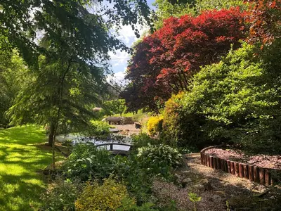 a garden with a pond and many trees and bushes at Forge Mill Cottage in Dalbeattie