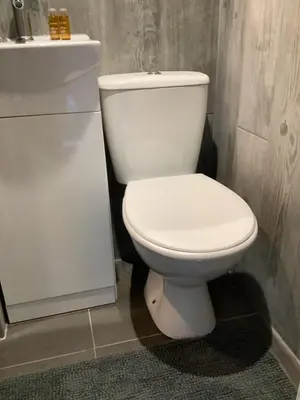 a bathroom with a white toilet and a sink at Dobbin the horse box in The Lake District in Cockermouth