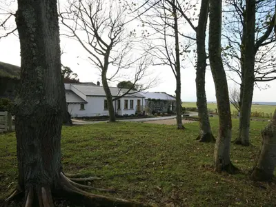 a group of trees in front of a house at Gardener's Cottage in Girvan