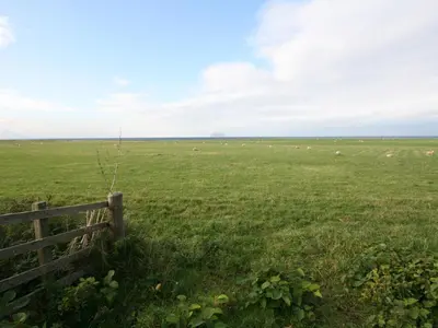 a fence in a field with sheep in the distance at Gardener's Cottage in Girvan