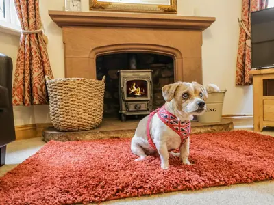 a dog sitting on a red rug in front of a fireplace at The Lodge in Penrith