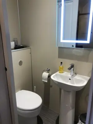 a bathroom with a white toilet and a sink at Tarn Hows in Keswick