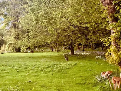 a park with green grass and trees and flowers at Bumblebee Cottage-Uk39918 in Ballakinnag