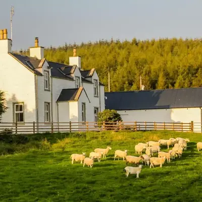 Diamonds Laggan