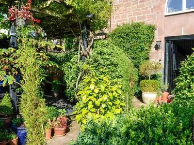 a garden with lots of plants and trees at Church Cottage in Rigg
