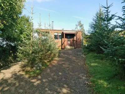 a cabin in the woods with trees in front of it at Glenkens Lodge in Dalry