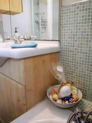 a bowl of food sitting on a sink in a bathroom at Arakhova in Kirkcudbright