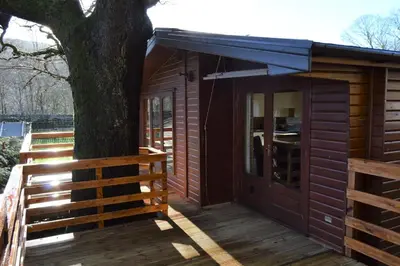 a wooden cabin with a tree and a fence at Woolpack Lodge in Holmrook