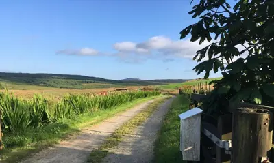 a dirt road in a field with crops at Dairy Cottage in Gatehouse of Fleet