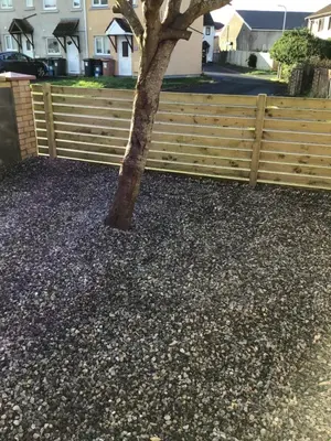 a tree in the gravel next to a wooden fence at Bobs plac in Whitehaven