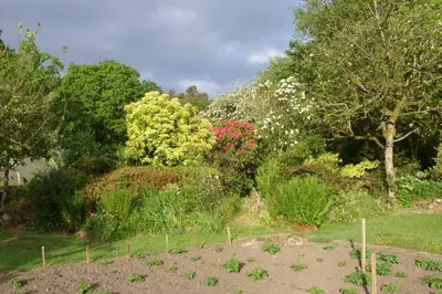 a garden with flowering plants and trees in the background at Springfield in Dalbeattie