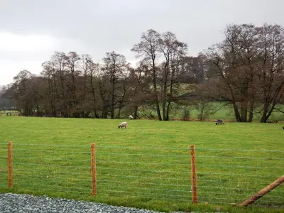 two animals grazing in a field behind a fence at The Bird Bath - Cottage in Wreay