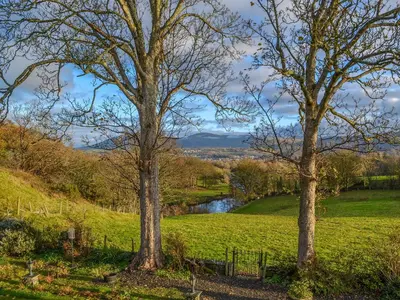 three trees in a field next to a river at Middle Howe in Portinscale