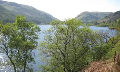 a view of a lake with trees and mountains at Thirlmere Cottage in Keswick