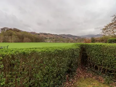 a hedge with a green field in the background at Holmdale in Ambleside