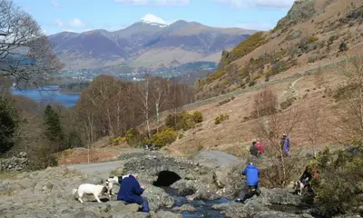 a group of people on a hill with a bridge and animals at The Cats Bield in Keswick