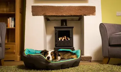 a dog laying in a dog bed in front of a fireplace at The Cats Bield in Keswick