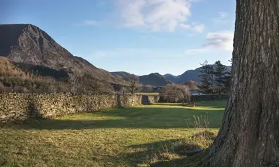 a stone wall in a field with a tree at Cedar Nook in Loweswater