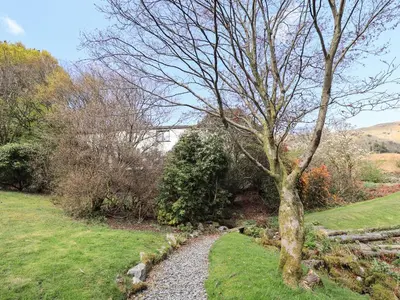 a tree in the middle of a grass field at Rawfell in Ambleside
