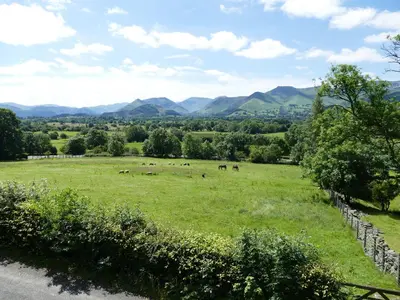 a field of green grass with animals in the distance at Dancing Beck Cottage in Keswick