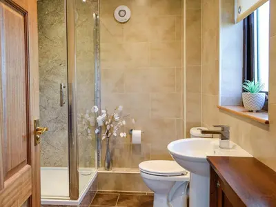 a bathroom with a shower and a toilet and a sink at Ashgrove in Mainsriddle