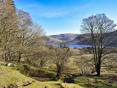 a view of a field with trees and a lake at Ivy House in Dockray