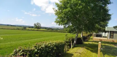 a house with a tree in the middle of a field at 24 The Zen Den Cumbria in High Hesket