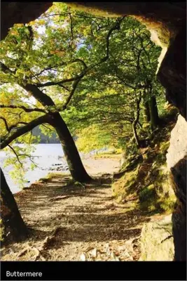 a painting of a path with trees and a body of water at Teapot Cottage in Ennerdale - Hot tub Pizza Oven Log Burner in Cleator