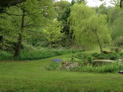 a garden with trees and flowers in the grass at Bird House - Sleep with the Owls! in Carlisle